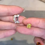 Fashion Two in One Earring Stud