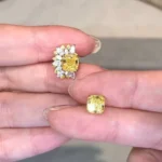 Fashion Two in One Earring Stud